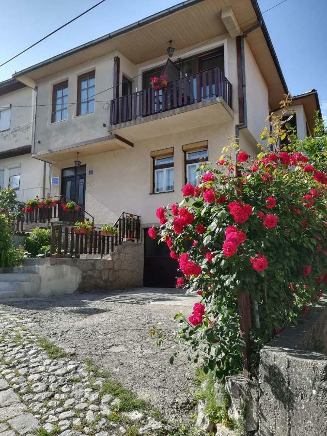 Apartments Pendik Ohri Dış mekan fotoğraf